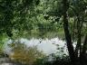 hammond pond thru the trees.jpg