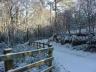 winter wonderland.jpg